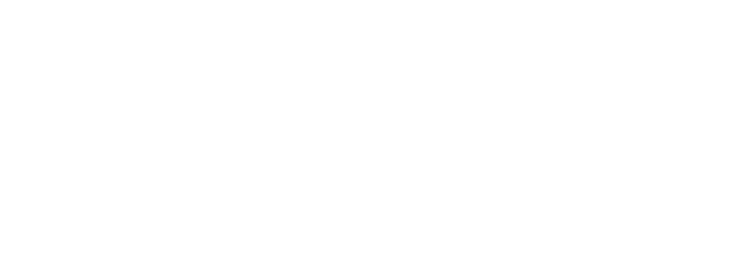 Shaw Armament Logo